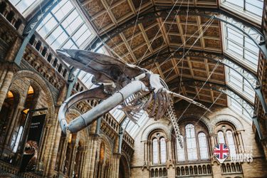 Le hall du Mus&eacute;e d'Histoire Naturelle est toujours impressionant !&nbsp;